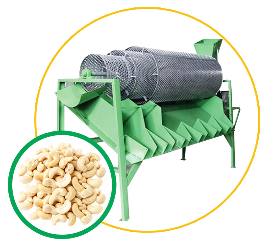 Raw Cashew Nut Grading Machines