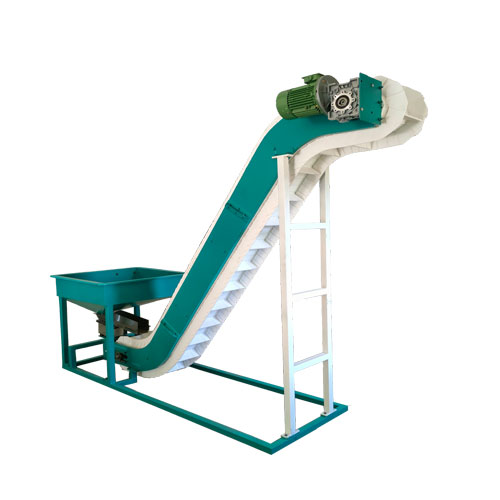 Color sorter conveyor